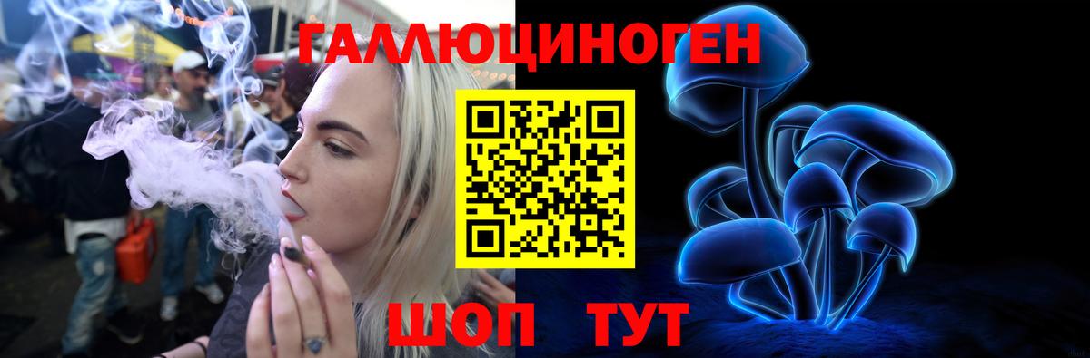 Ревда  Псилоцибиновые грибы Psilocybine cubensis  Вход с VPN 